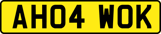 AH04WOK