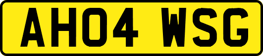 AH04WSG