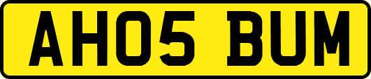 AH05BUM