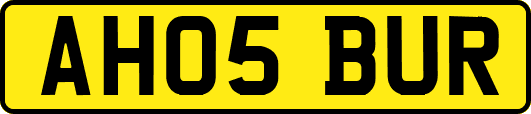 AH05BUR