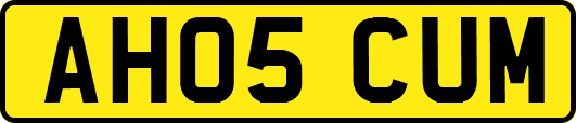 AH05CUM