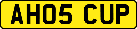 AH05CUP