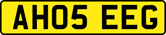 AH05EEG