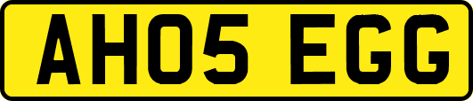 AH05EGG