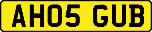 AH05GUB