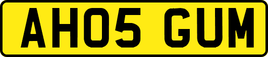 AH05GUM