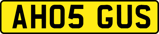 AH05GUS