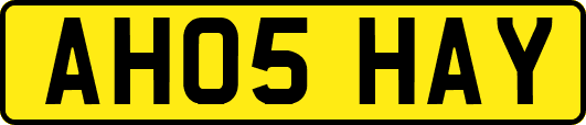 AH05HAY