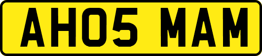 AH05MAM