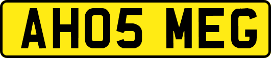 AH05MEG