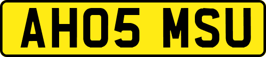 AH05MSU
