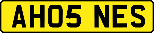 AH05NES