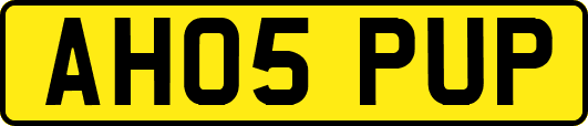 AH05PUP