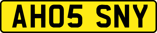 AH05SNY