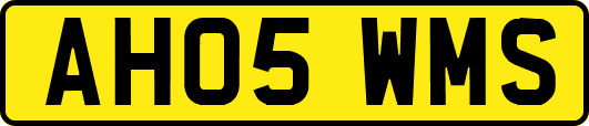 AH05WMS