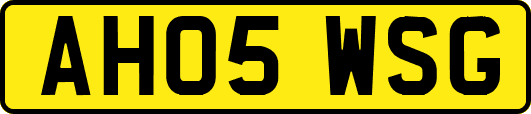 AH05WSG