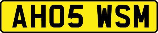 AH05WSM