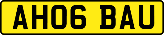AH06BAU