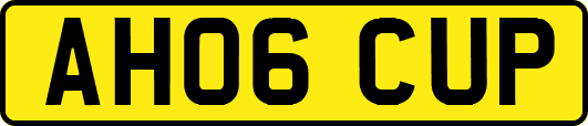 AH06CUP