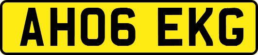 AH06EKG