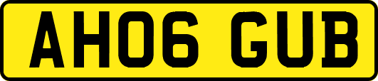 AH06GUB