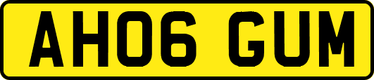 AH06GUM