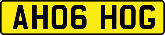AH06HOG