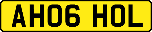 AH06HOL
