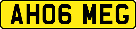 AH06MEG