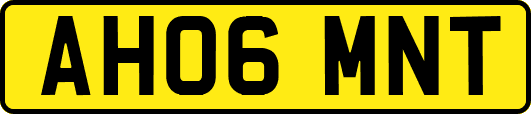 AH06MNT