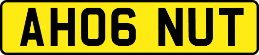 AH06NUT