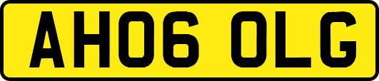 AH06OLG