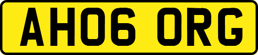 AH06ORG