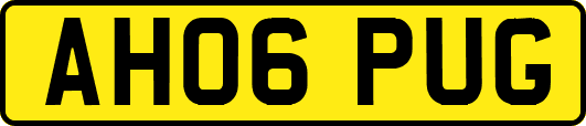 AH06PUG