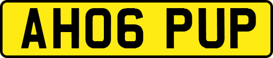 AH06PUP