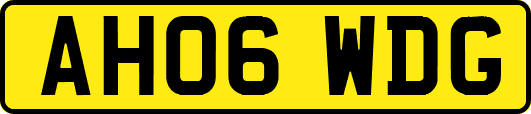 AH06WDG