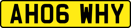 AH06WHY