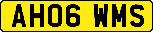 AH06WMS