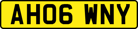 AH06WNY