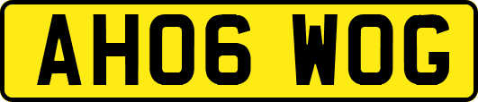 AH06WOG