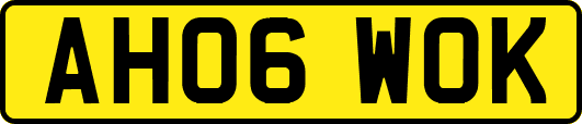 AH06WOK