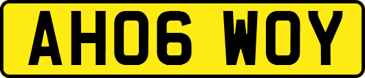 AH06WOY