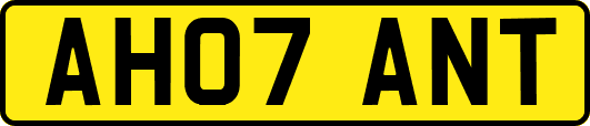AH07ANT