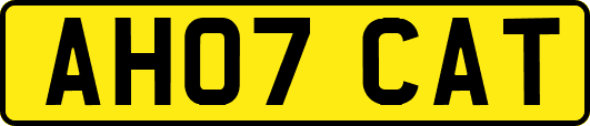AH07CAT