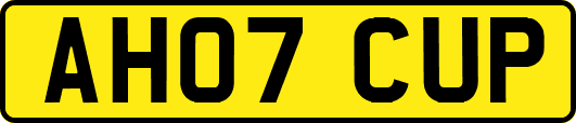 AH07CUP