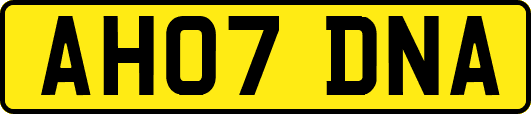 AH07DNA