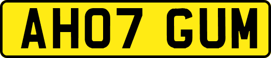 AH07GUM
