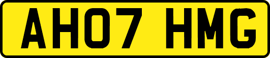 AH07HMG
