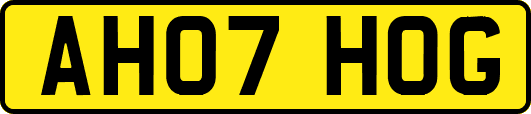 AH07HOG