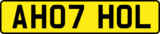 AH07HOL